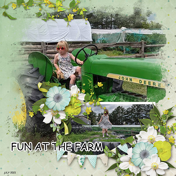 July Miss Fish Memory Mix Up Challenge