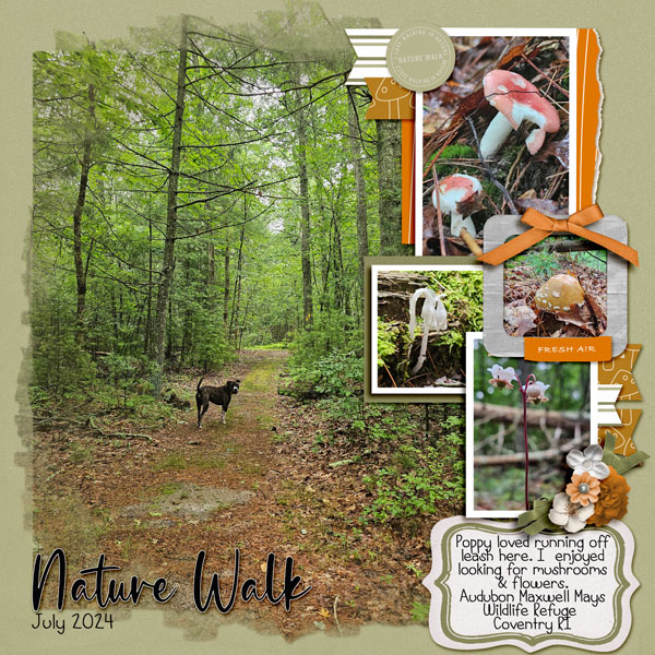 July Nature Walk