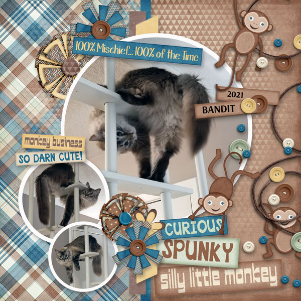 July Scraplift_Bandit_Monkey Business