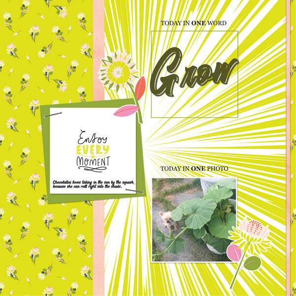 July Stories 1