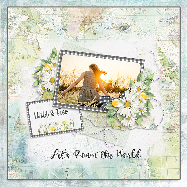 July Use It All Challenge