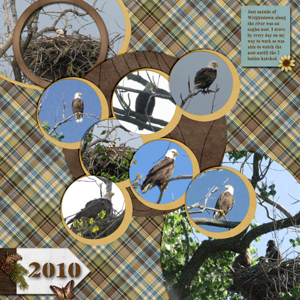 July_Font_2015