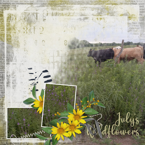 July's Wildflowers