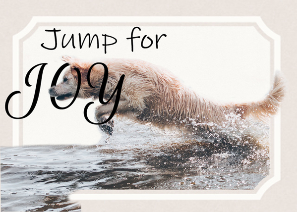 Jump for Joy