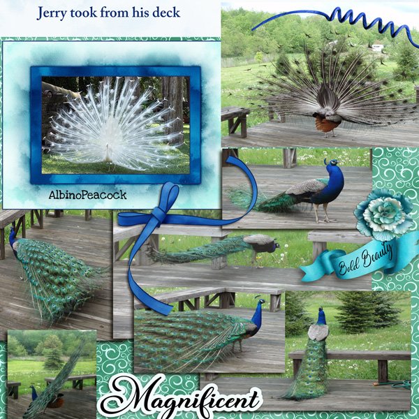 Jumpstart_MonthlyChall_2026_02_jerry.jpg