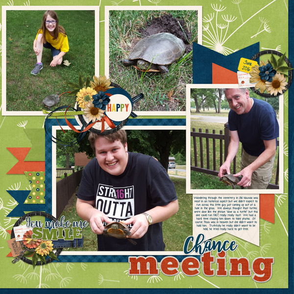 June-16-Nauvoo-turtleWEB