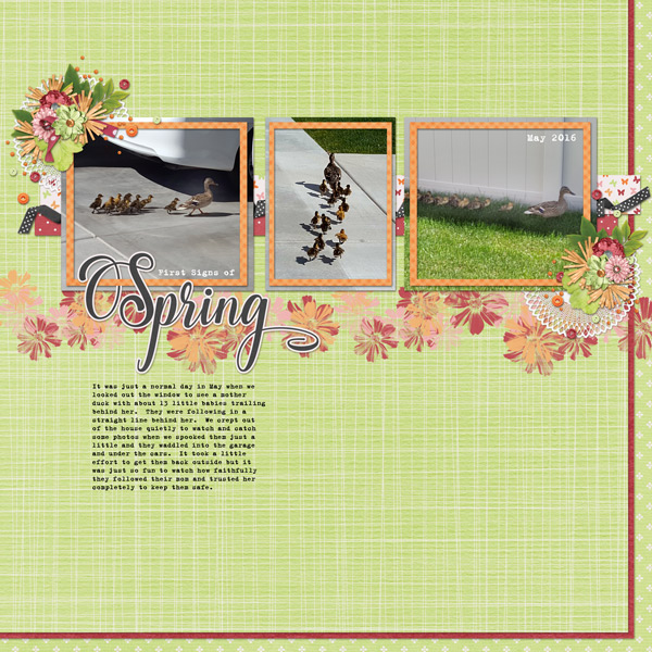 June-16-Spring-time-babiesWEB