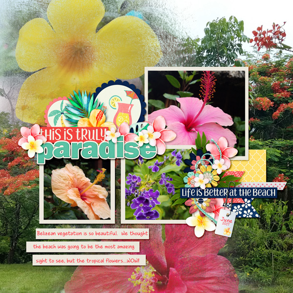 June-17-Belize-VegetationWEB