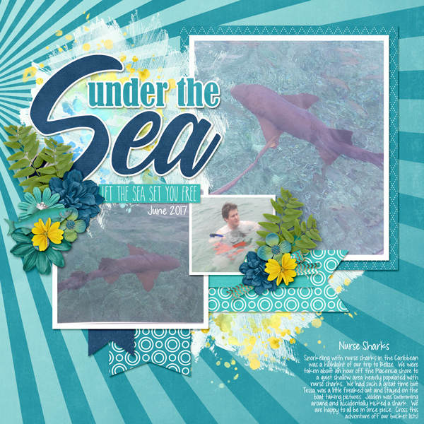 June-17-SharksWEB