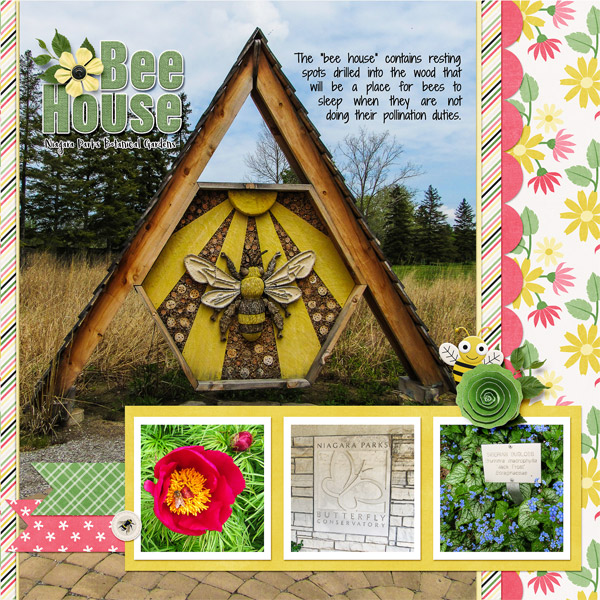 June 2017 Font Challenge - Bee House
