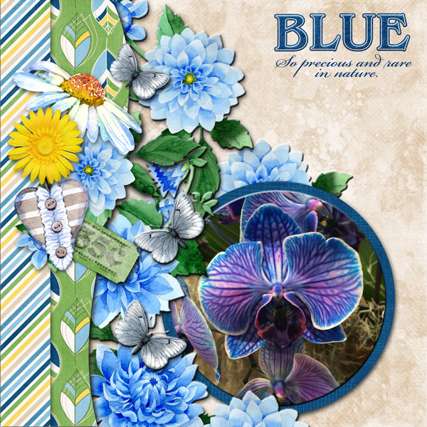 June 2018 Collection - Blue