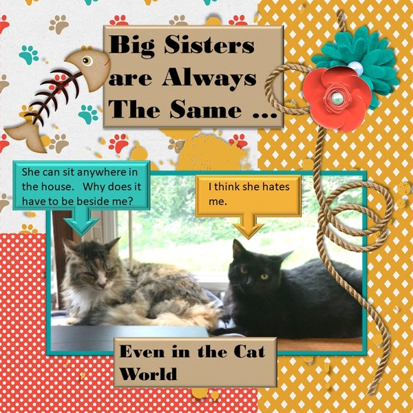 June 2018 Mini Kit Challenge