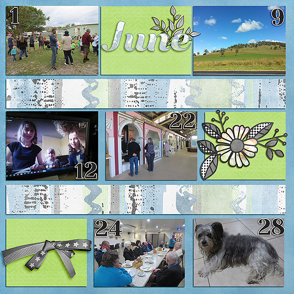 June 2019 Project Life