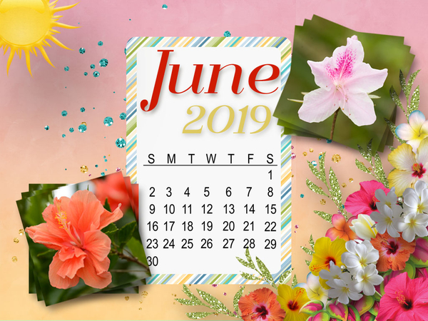 June 2019