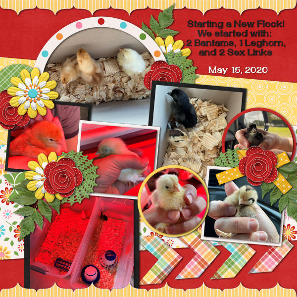June 2020 Inspiration Challenge