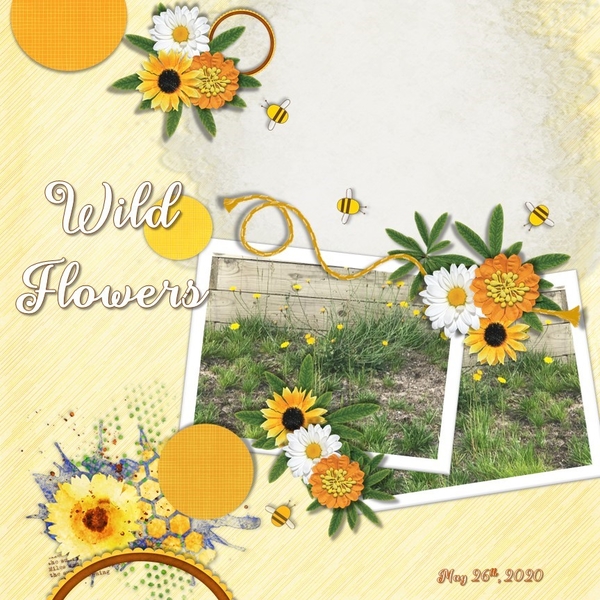 June 2020 Template #1 Challenge