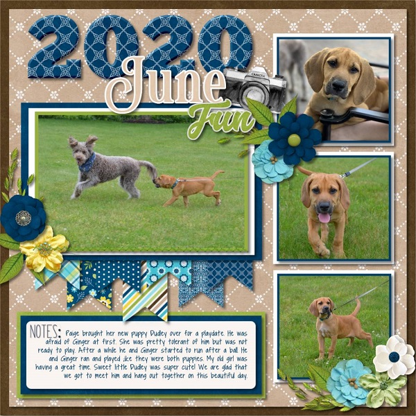 June 2020