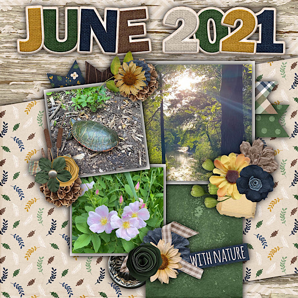 June 2021 Naturer Walk