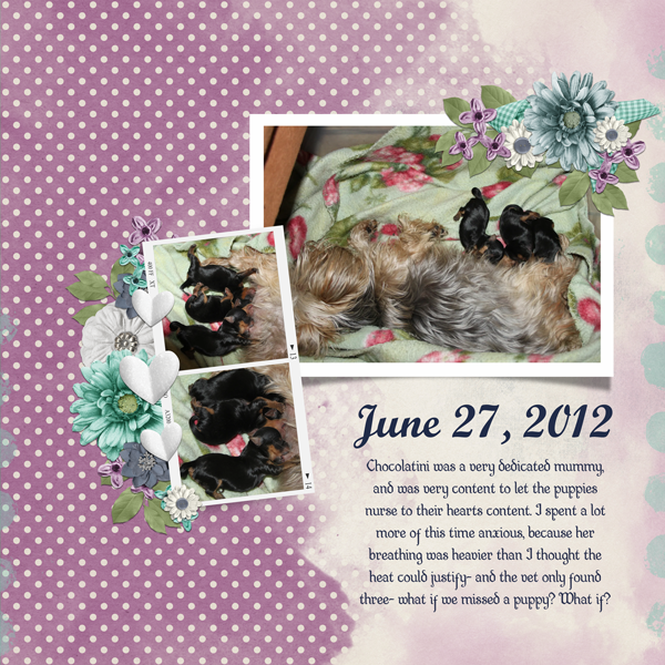 June 27 2012