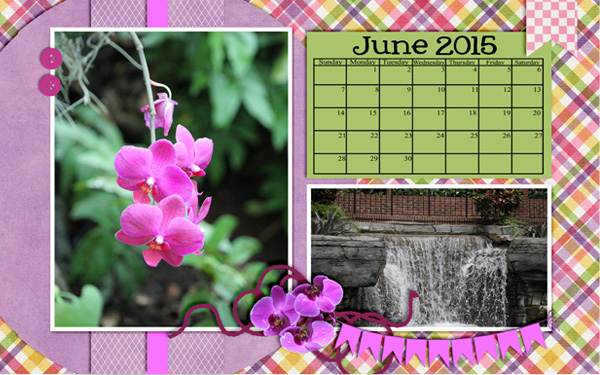 June Calendar