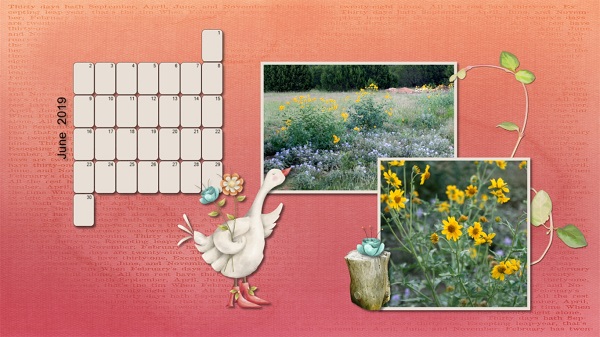 June Calendar