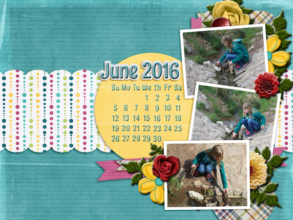 June Desktop 2016