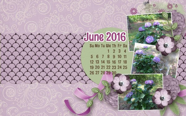 June Desktop