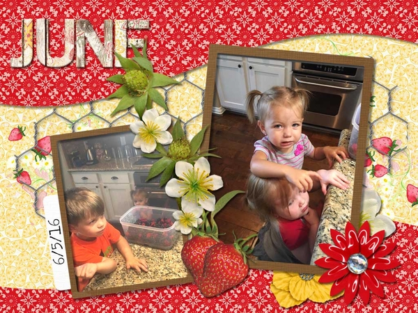 June Desktop