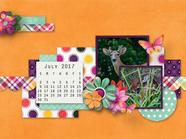 June Desktop