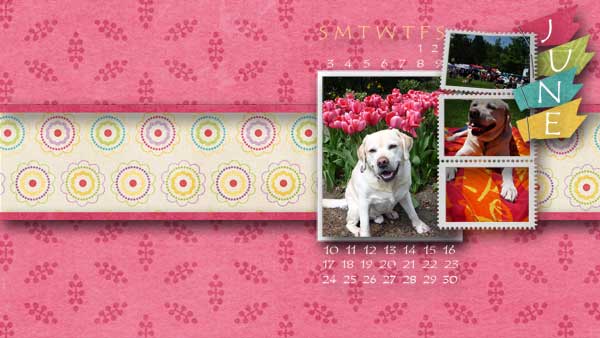 June desktop