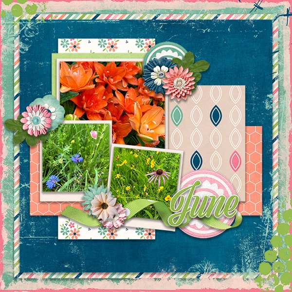 June Flowers