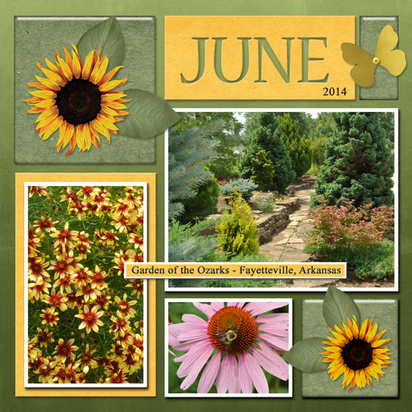 JUNE (garden)