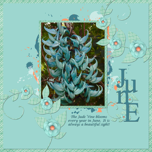 June Jade