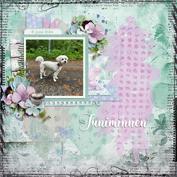 June Memories