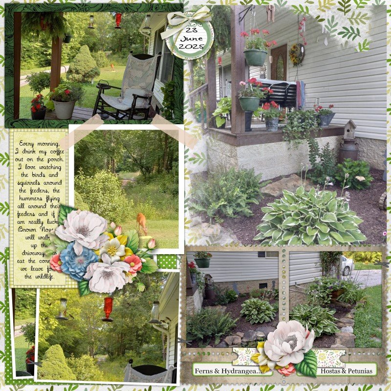June Photography Challenge