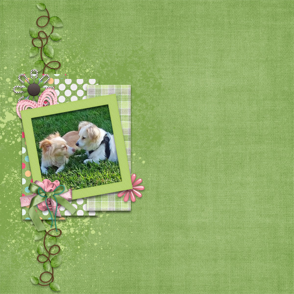 June Spotlight Challenge