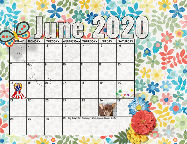June Sum-Up Calendar
