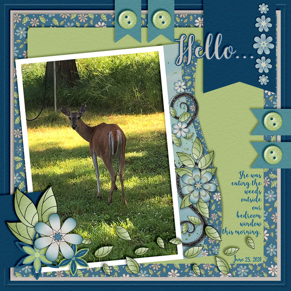 June Template Challenge #2 June 2020