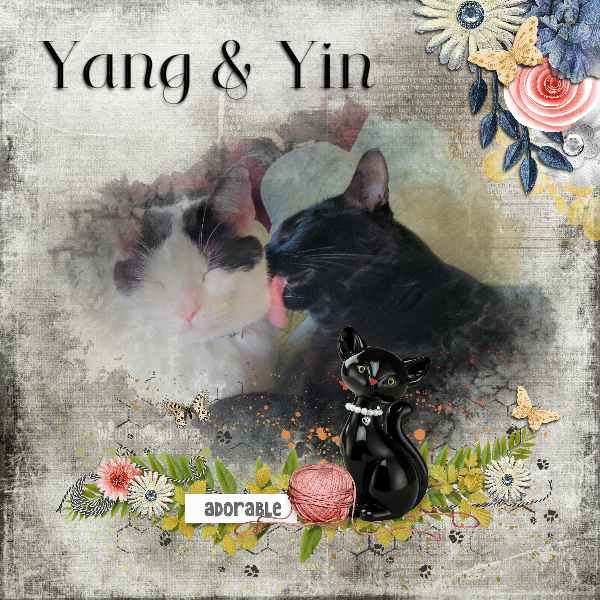 June Yin + Yang Mask