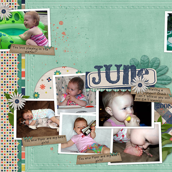 June2008Review1_sm
