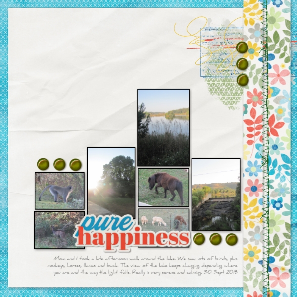 June2020 Minikit challenge