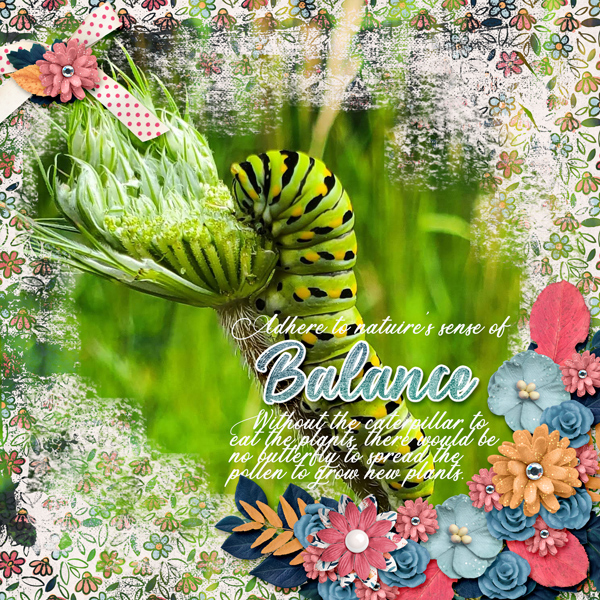 June22_Balance_LR-HO-600
