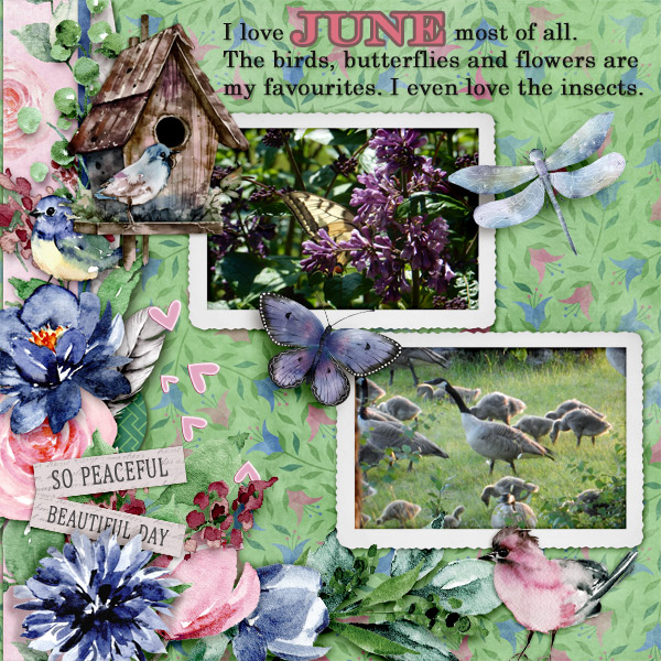 June31