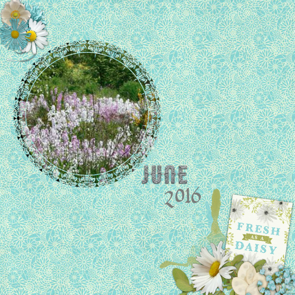 June_20172