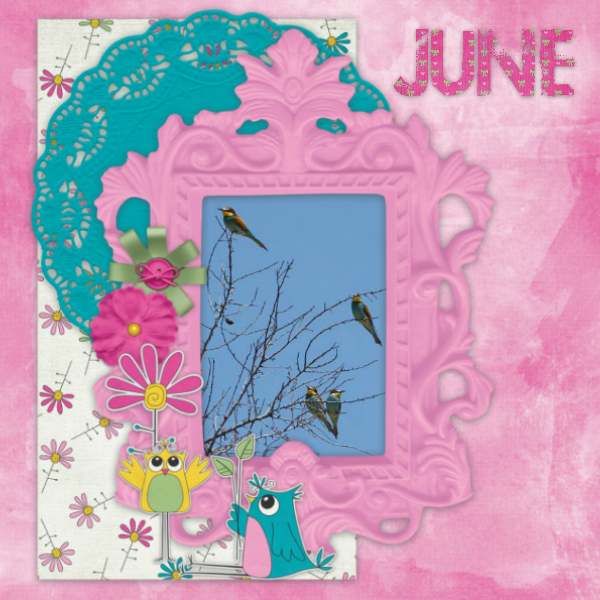June_birds