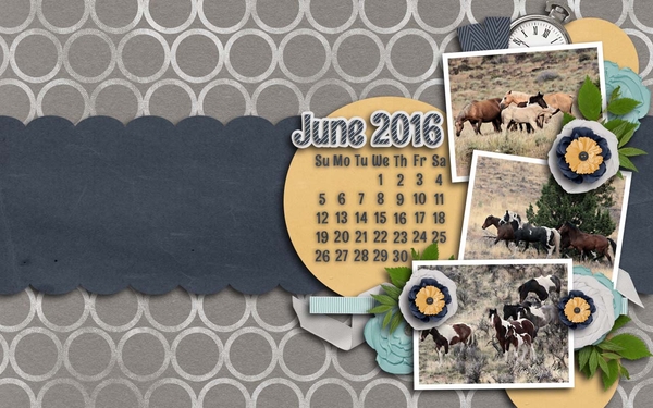 JuneDesktop