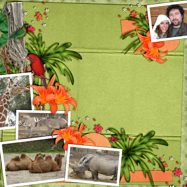 Jungle Fever