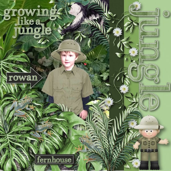jungle