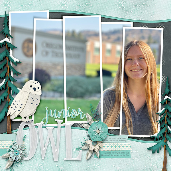 ~Junior Owl~