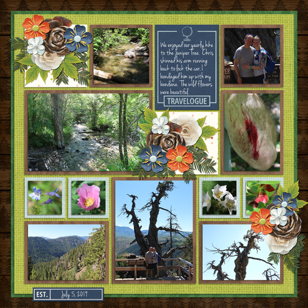 Juniper Trail